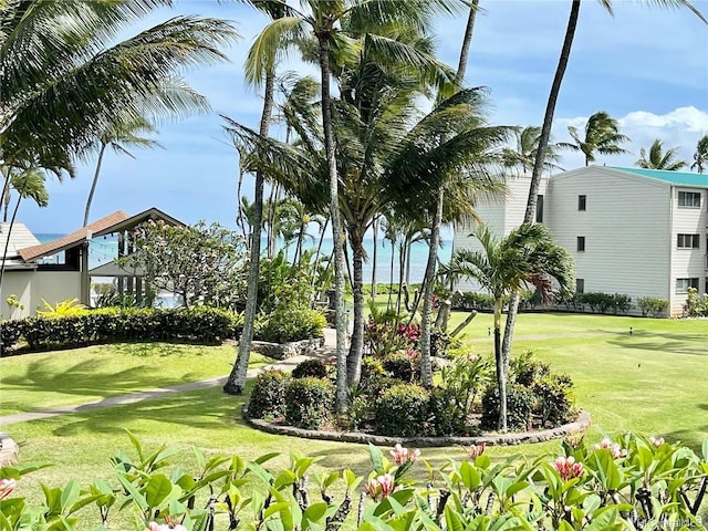 7146 Kamehameha V Hwy Unit 207C, Kaunakakai, HI 96748 - view of property's community with a yard