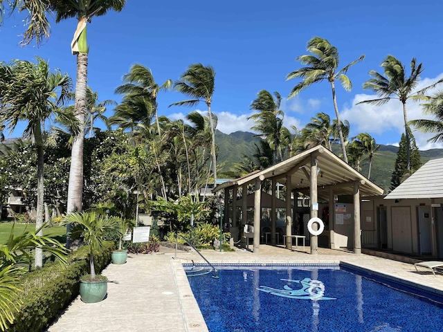 7146 Kamehameha V Hwy Unit 207C, Kaunakakai, HI 96748 - community pool featuring a mountain view