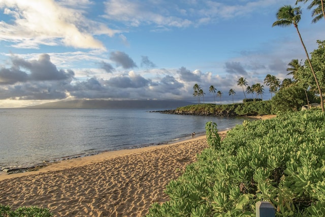 property view of water featuring a view of the beach