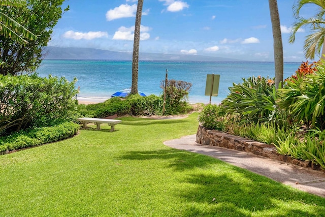 view of property's community featuring a lawn and a water view