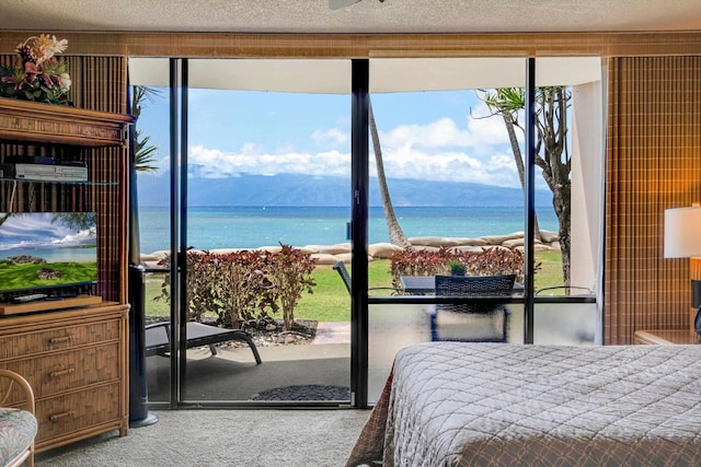 bedroom with carpet and a water view
