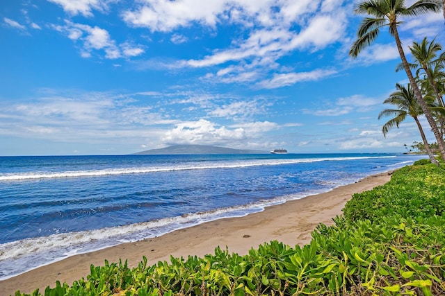 water view featuring a beach view