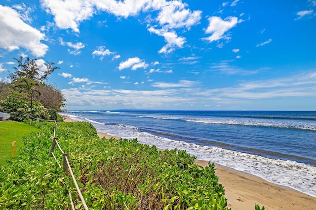 view of water feature featuring a beach view