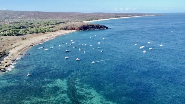 birds eye view of property with a water view and a beach view