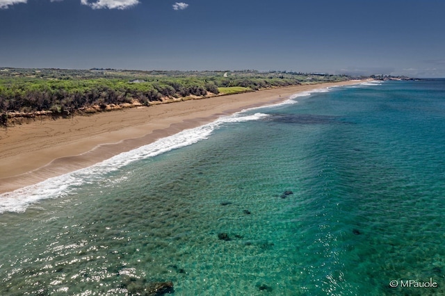 bird's eye view featuring a view of the beach and a water view