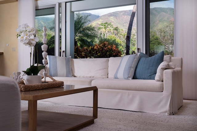 sunroom featuring a mountain view and a healthy amount of sunlight