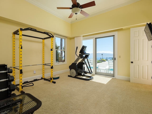 workout room with carpet flooring, ceiling fan, and crown molding