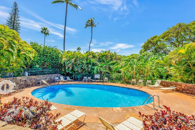 view of swimming pool with a patio