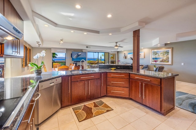 kitchen featuring stainless steel dishwasher, dark stone counters, a tray ceiling, extractor fan, and sink