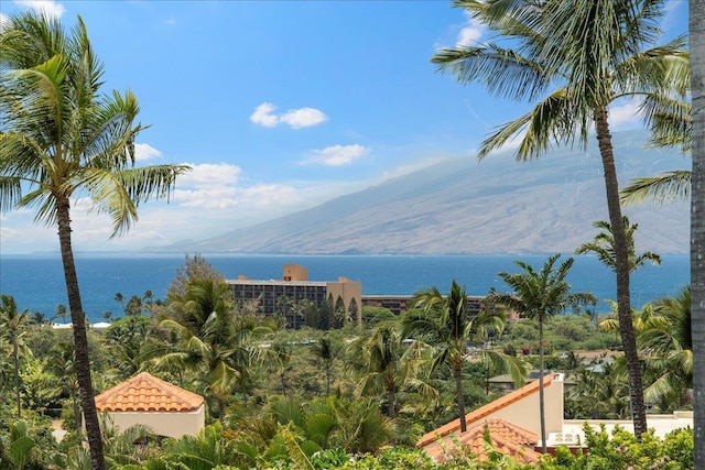 view of water feature with a mountain view