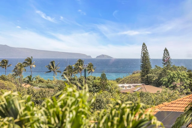 207 Kahana Ridge Dr Unit 132, Lahaina, HI 96761 - water view with a mountain backdrop