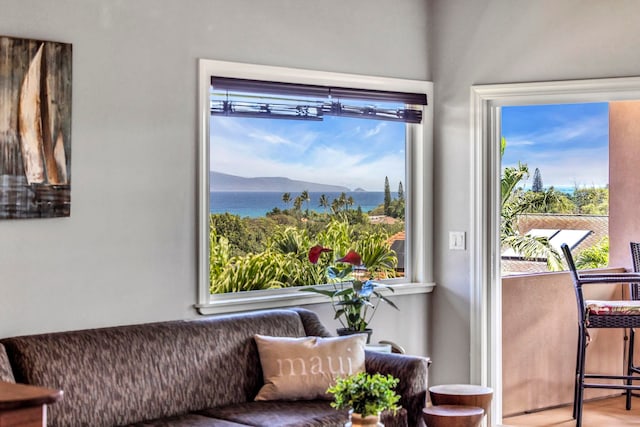 207 Kahana Ridge Dr Unit 132, Lahaina, HI 96761 - living area featuring plenty of natural light and a water view