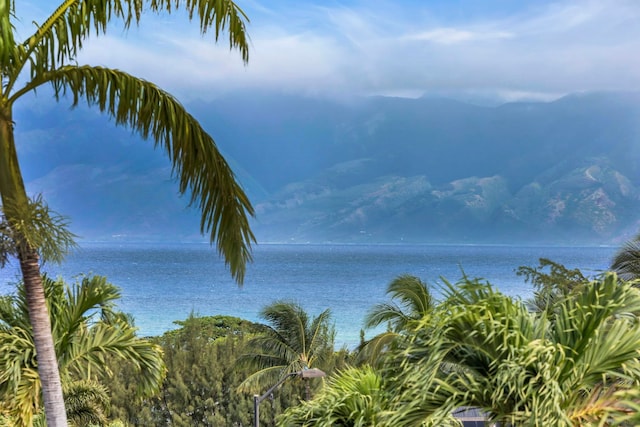 207 Kahana Ridge Dr Unit 132, Lahaina, HI 96761 - water view