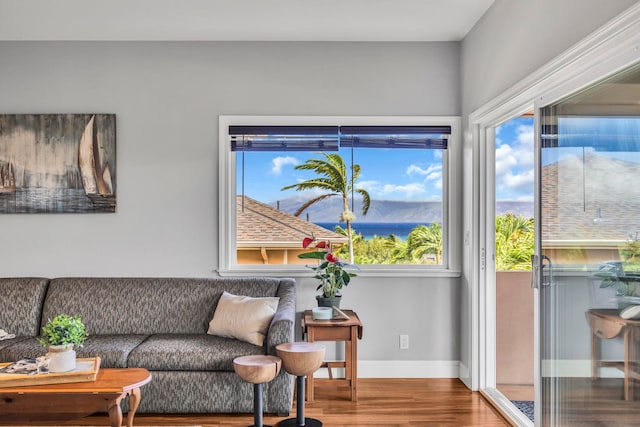 207 Kahana Ridge Dr Unit 132, Lahaina, HI 96761 - living area featuring wood finished floors and baseboards