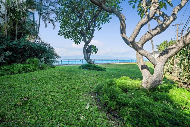 view of yard with a water view