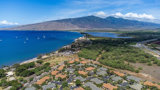 birds eye view of property featuring a water and mountain view