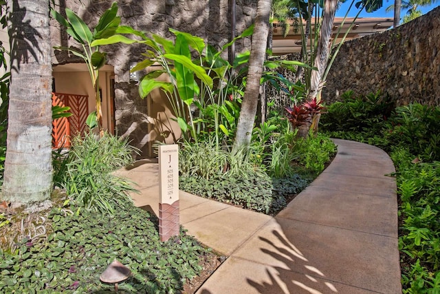 3800 Wailea Alanui Blvd Unit J505, Kihei, HI 96753 - view of community