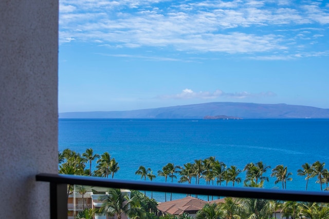 water view featuring a mountain view