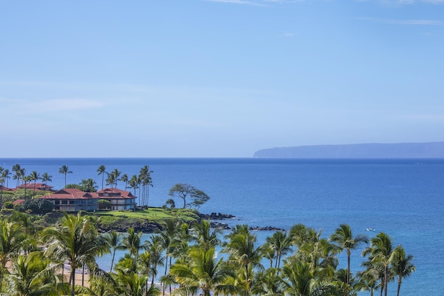 3800 Wailea Alanui Blvd Unit J505, Kihei, HI 96753 - water view