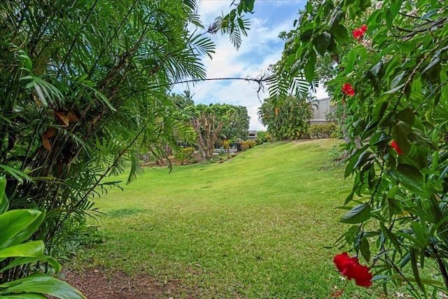 4435 Lower Honoapiilani Rd Unit 142, Lahaina, HI 96761 - view of grassy yard