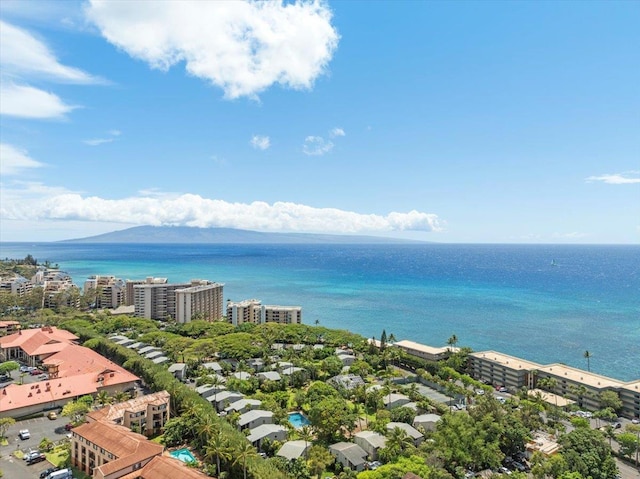 4435 Lower Honoapiilani Rd Unit 142, Lahaina, HI 96761 - bird's eye view of a large body of water