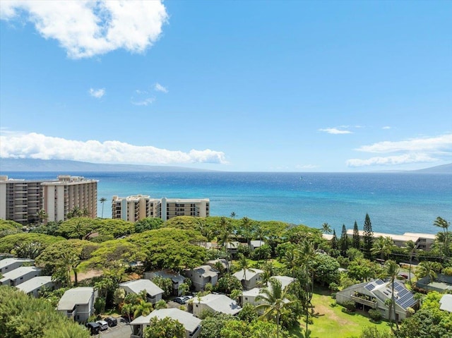 4435 Lower Honoapiilani Rd Unit 142, Lahaina, HI 96761 - bird's eye view of a large body of water