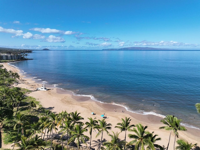7 Kaiau Pl Unit 6, Kihei, HI 96753 - water view featuring local beach