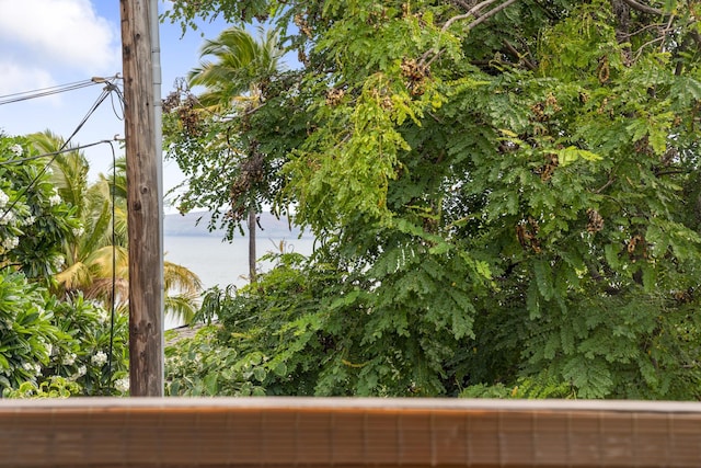 7 Kaiau Pl Unit 6, Kihei, HI 96753 - water view