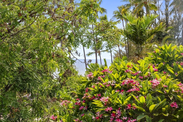 7 Kaiau Pl Unit 6, Kihei, HI 96753 - exterior view