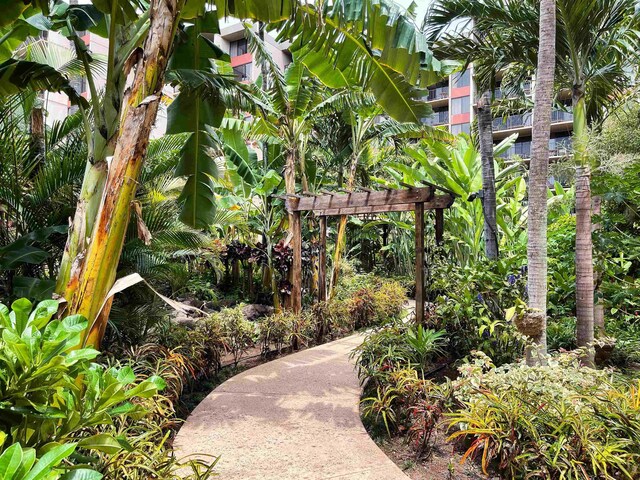 view of home's community with a pergola