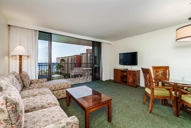 living room with carpet and a wall of windows