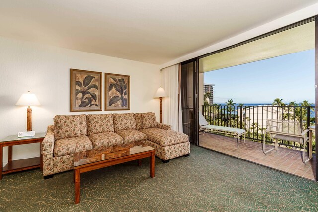 view of carpeted living room