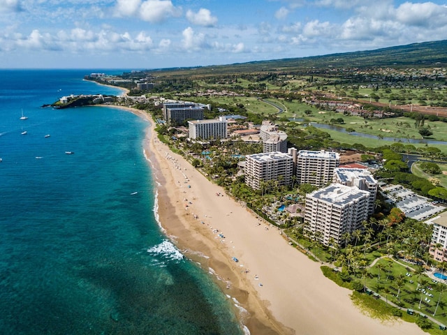 50 Nohea Kai Dr Unit 2-1106, Lahaina, HI 96761 - drone / aerial view of expansive beach