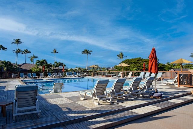 view of swimming pool