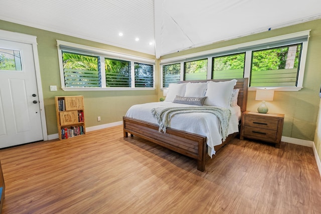 bedroom featuring multiple windows, baseboards, and wood finished floors