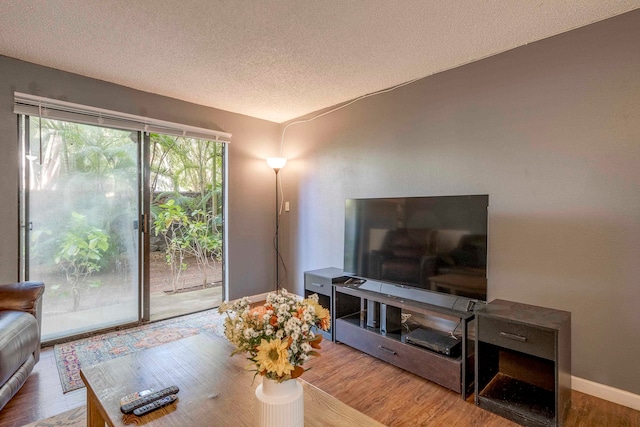 living room featuring a textured ceiling and light hardwood / wood-style floors