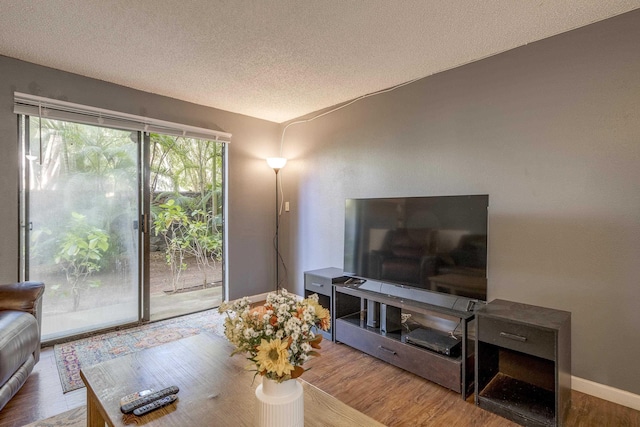 living area featuring a textured ceiling, wood finished floors, and baseboards