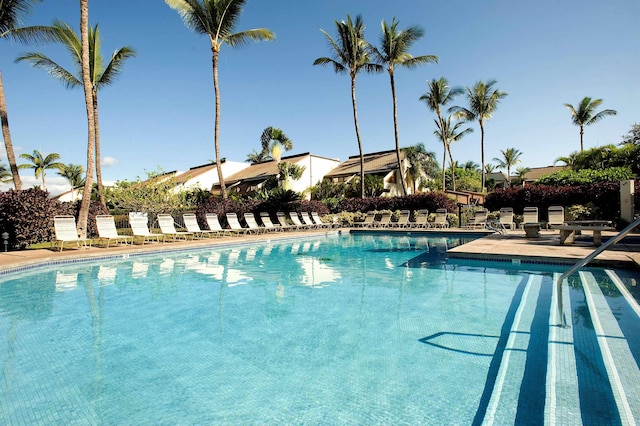 view of pool featuring a patio