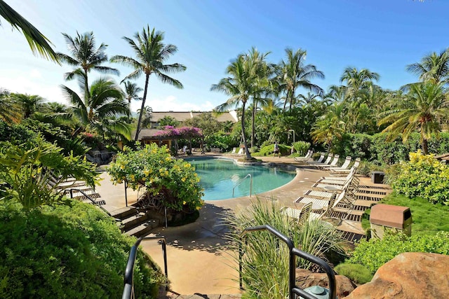 view of pool with a patio