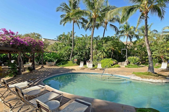 view of swimming pool featuring a patio and a pergola