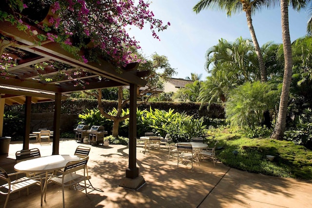 view of patio / terrace featuring a pergola