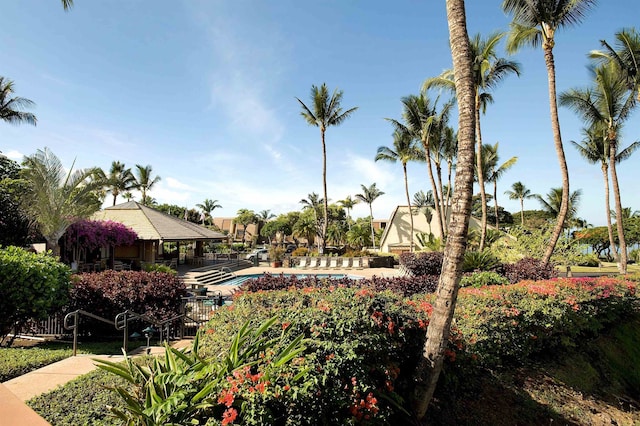 view of property's community with a swimming pool