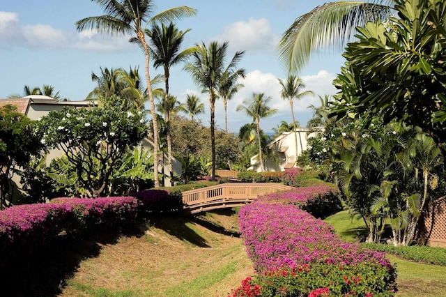 surrounding community featuring a lawn