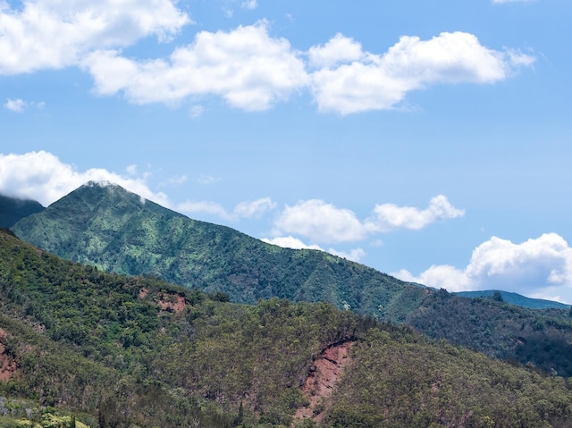 101 Kiha Pl Unit 41, Wailuku, HI 96793