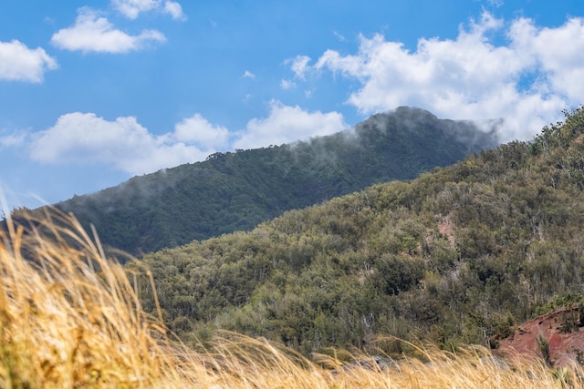 101 Kiha Pl Unit 41, Wailuku, HI 96793