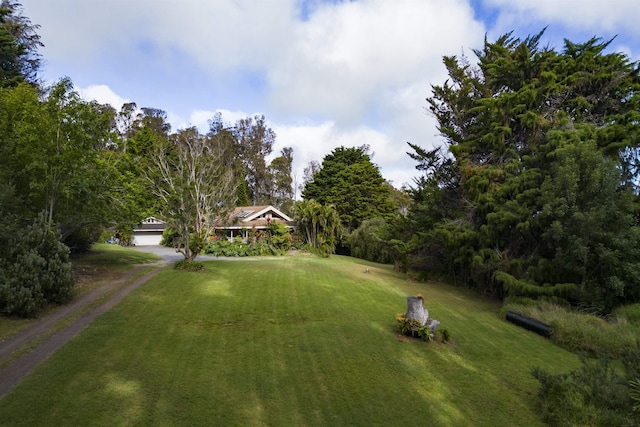 1160 Ehu Rd, Makawao, HI 96768 - view of grassy yard with dirt driveway and a garage