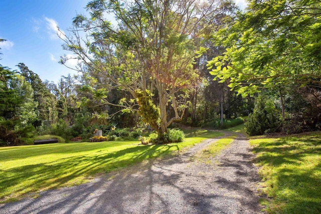 1160 Ehu Rd, Makawao, HI 96768 - view of dirt / gravel road