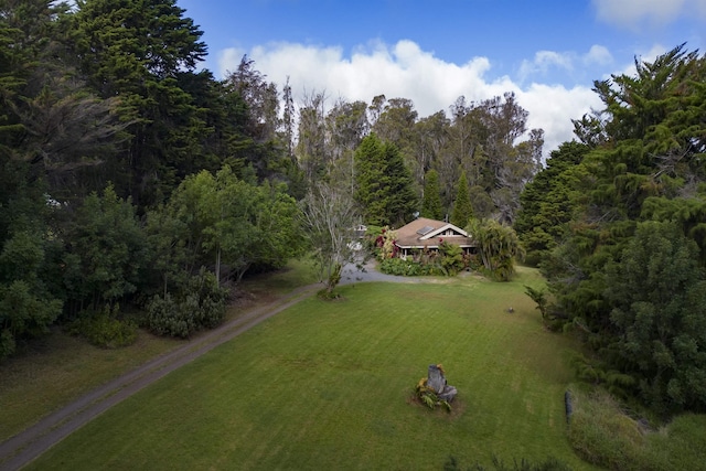 1160 Ehu Rd, Makawao, HI 96768 - view of property location with a heavily wooded area