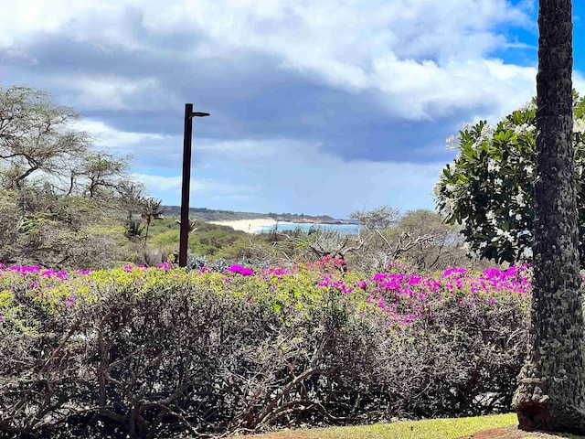 view of yard featuring a water view