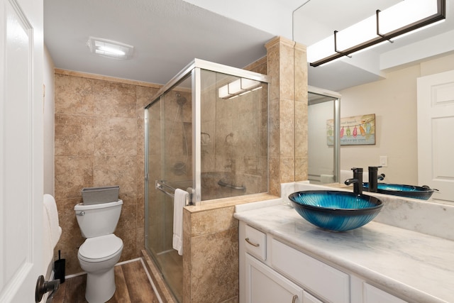 full bathroom featuring toilet, tile walls, a shower stall, and vanity